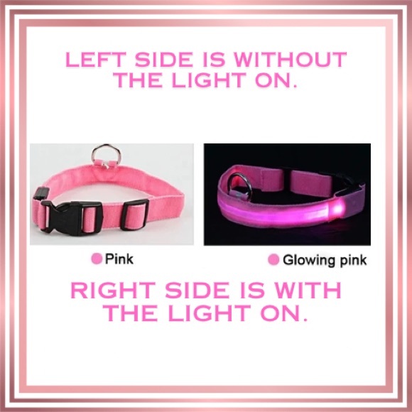 LED Lighted Pink Size Small Dog Collar - Picture 3 of 4
